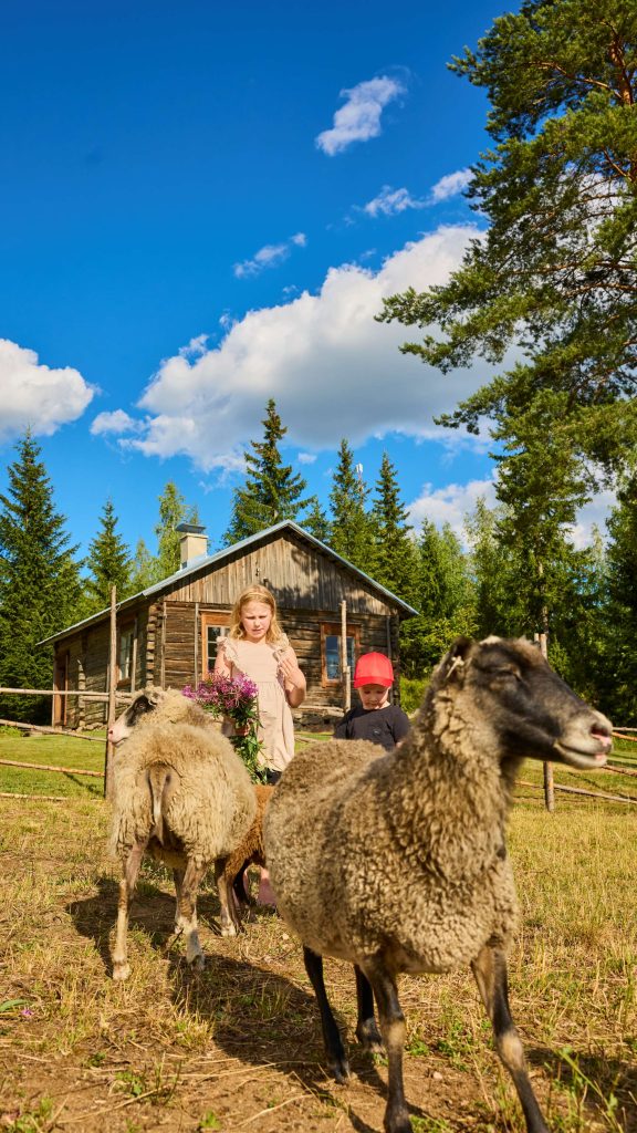 Kaksi lasta laitumella lampaiden kanssa kesäpäivänä, taustalla vanha rakennus