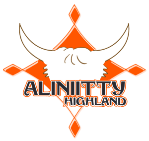 Aliniityn tila logo